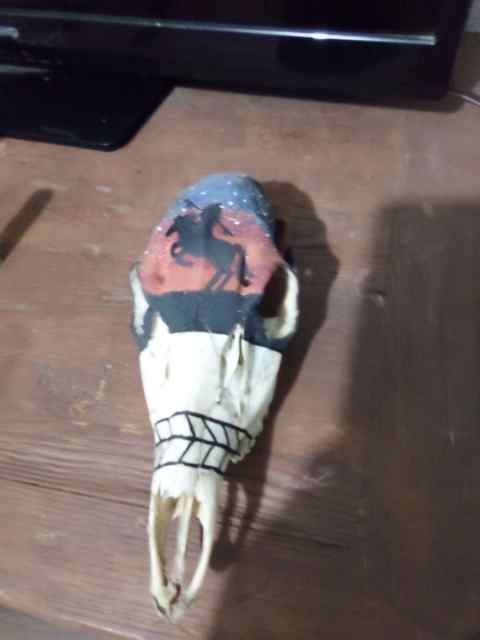 Painted deer skull 