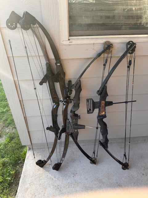 Compound Bows For Sale