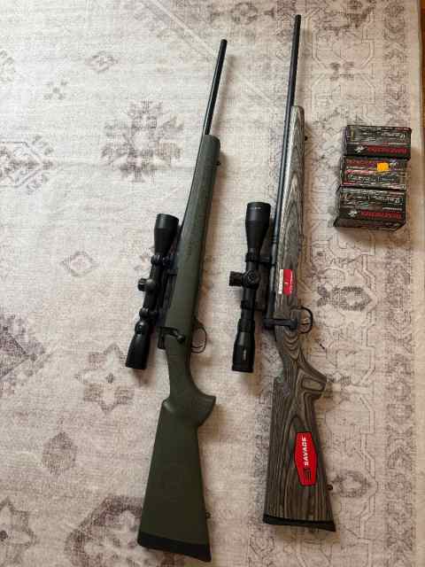 Howa 1500 in 22-250 and savage B mag in 17wsm