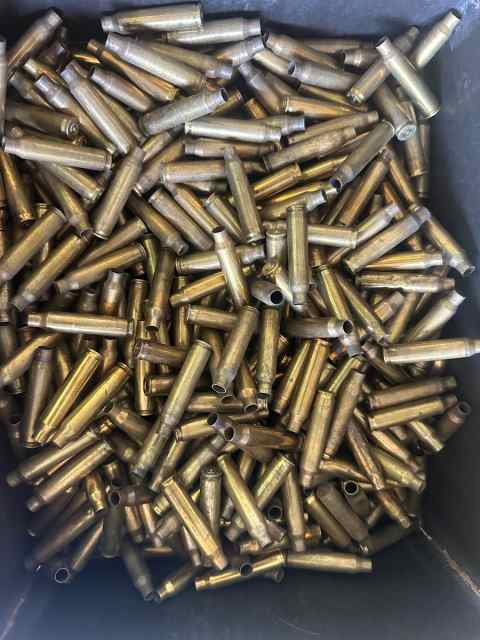 223/5.56 brass