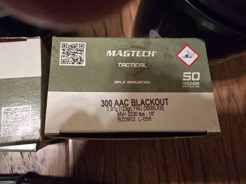 Magtech Ammo.jpg