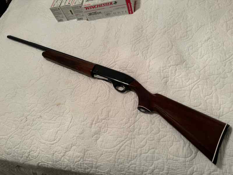 S&amp;W 1000 20 gauge shotgun and ammo