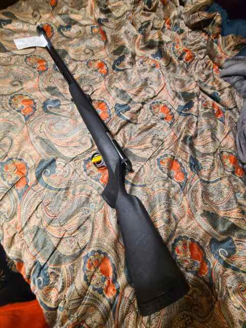 Knight .50 ball Big Horn rifle 