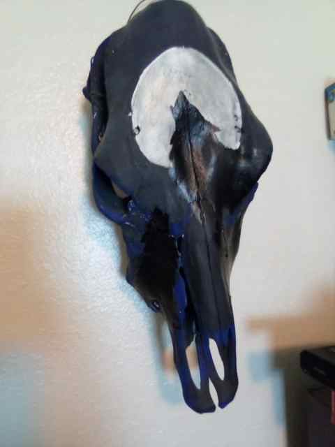 Painted skull