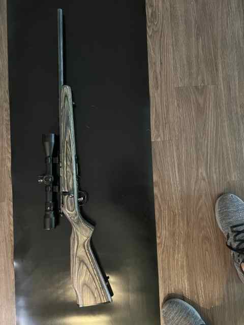 Savage 17 hmr