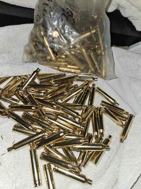 264 win mag brass