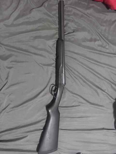 Stoeger side by side 12 gauge 