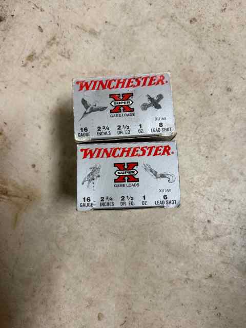 Winchester Shotgun ammo