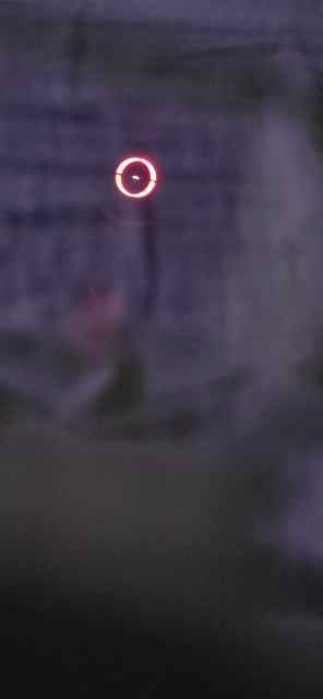 20250424_192908.jpg