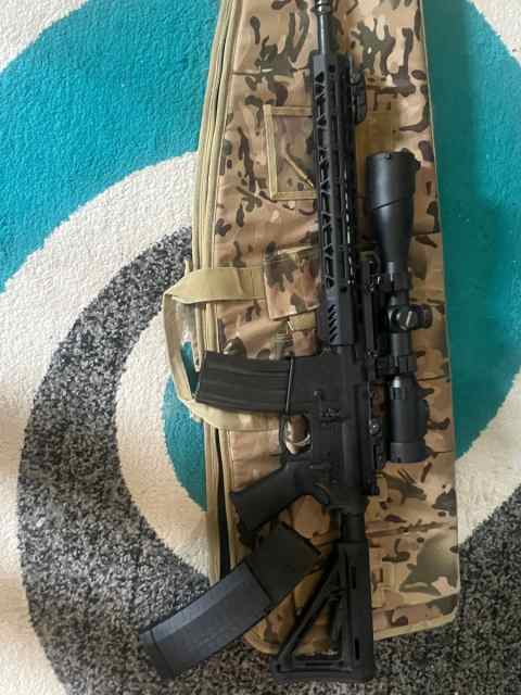 Palmetto Arms AR15