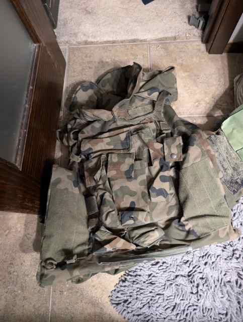 Wts Polish Army plate carrier and plates