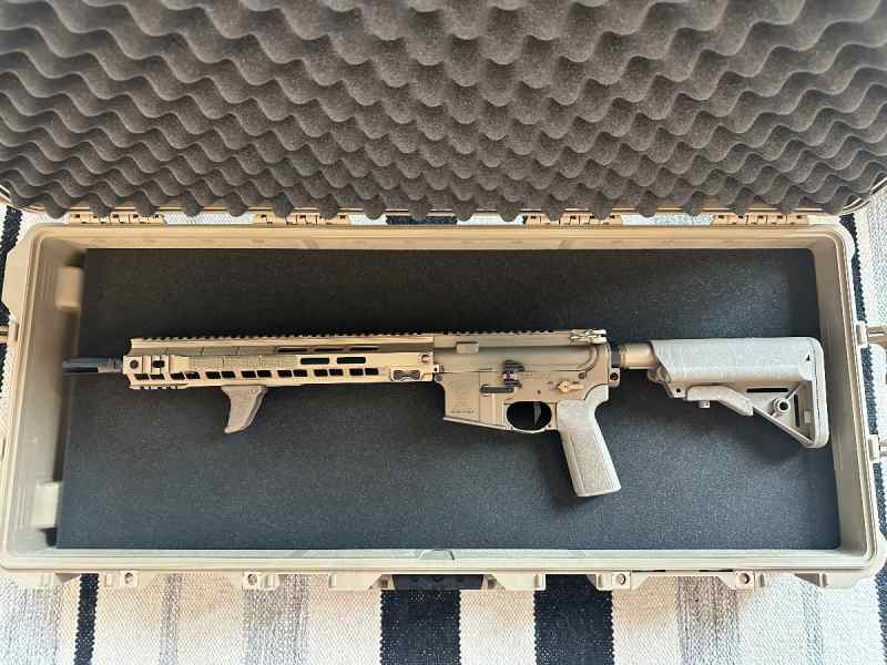 Geissele 5.56 AR FDE custom 