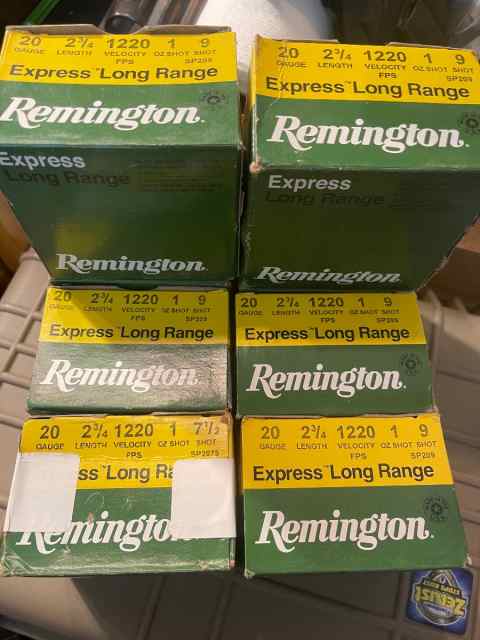 Remington express long range 20ga .14.00bx