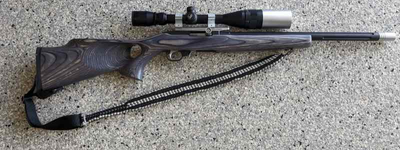 Custom Ruger 10/22 - half price 