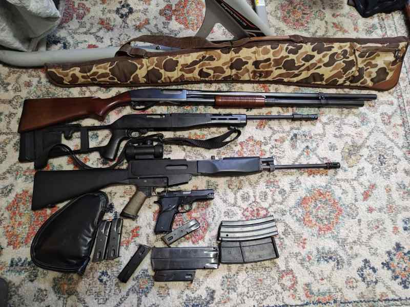 Bushmaster, 870, model 59, Ruger 10-22