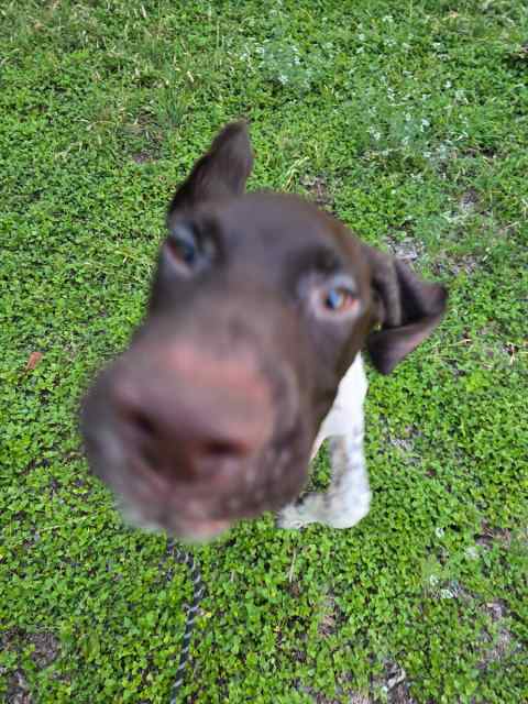 20250507_195045.jpg