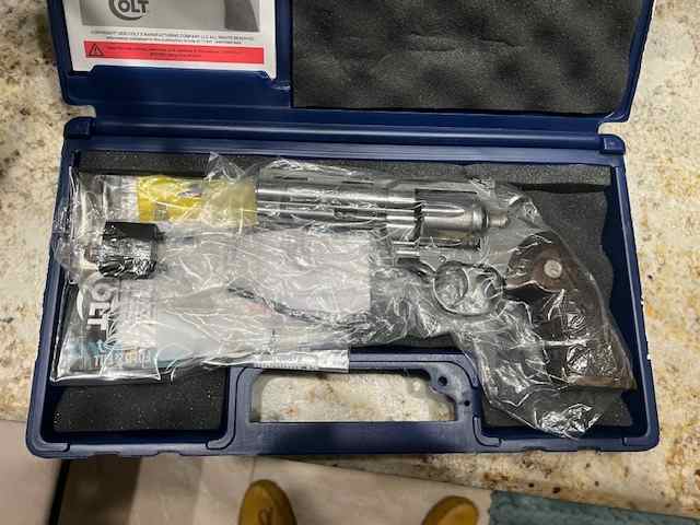 colt2.jpeg