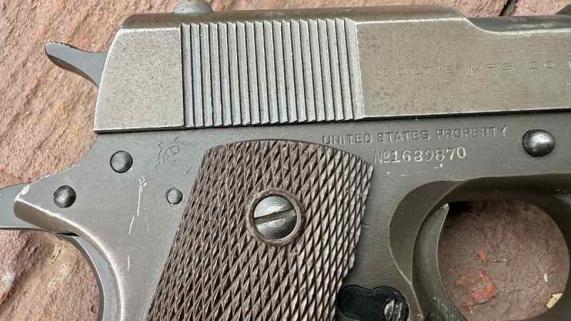 IMG_3230.jpeg