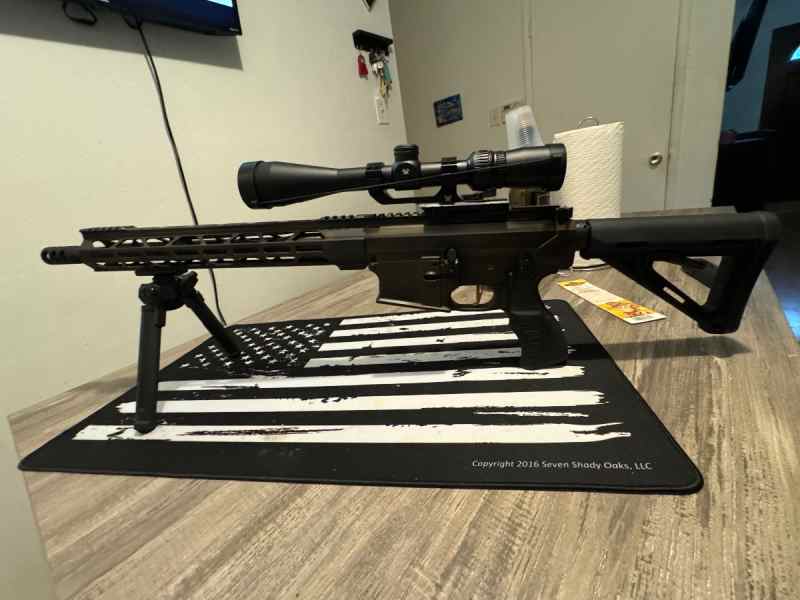 Diamondback AR10 .308