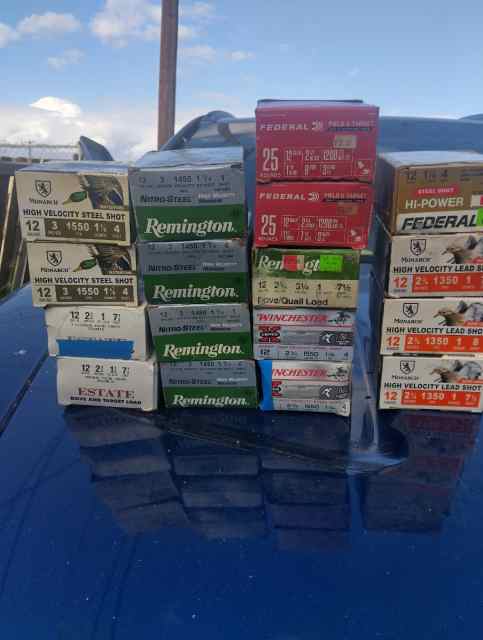 17 boxes 12 gauge ammo 