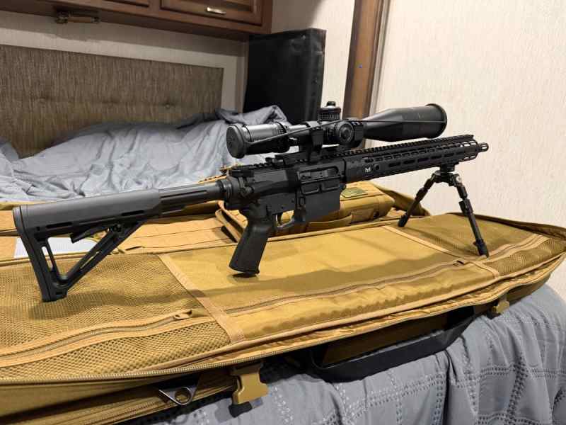 Custom AR10 - .308