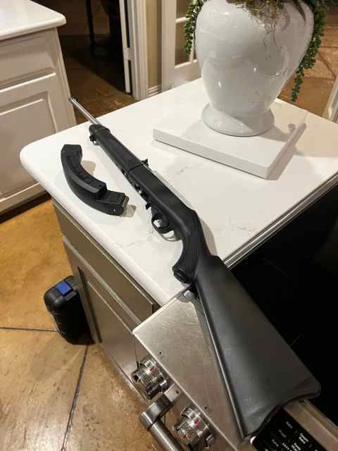 Ruger 10/22 Takedown