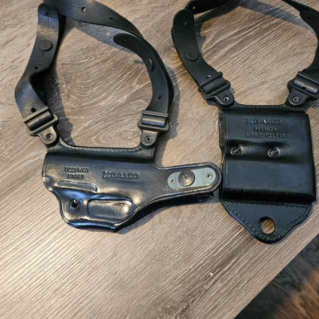 Sig p365 holsters 
