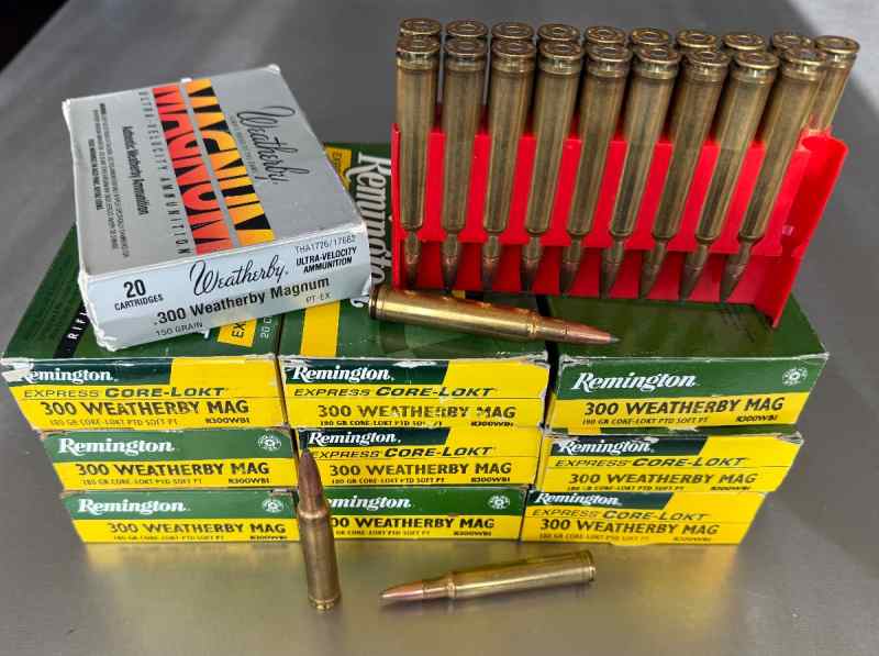 300 Weatherby Mag ammo 