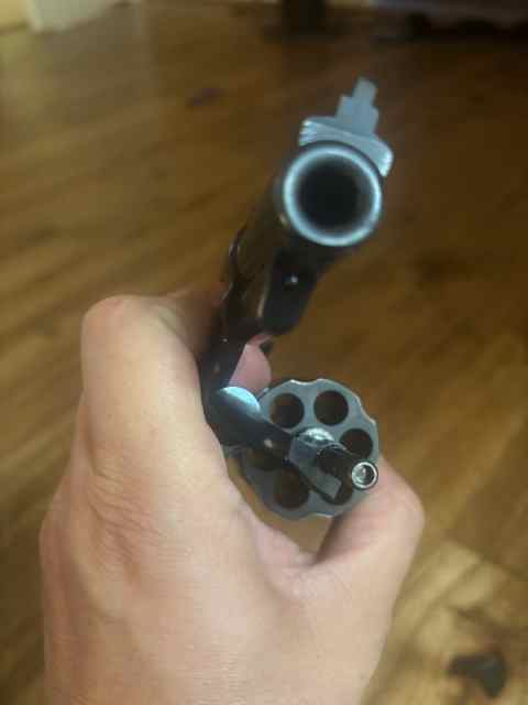 S&amp;W 19