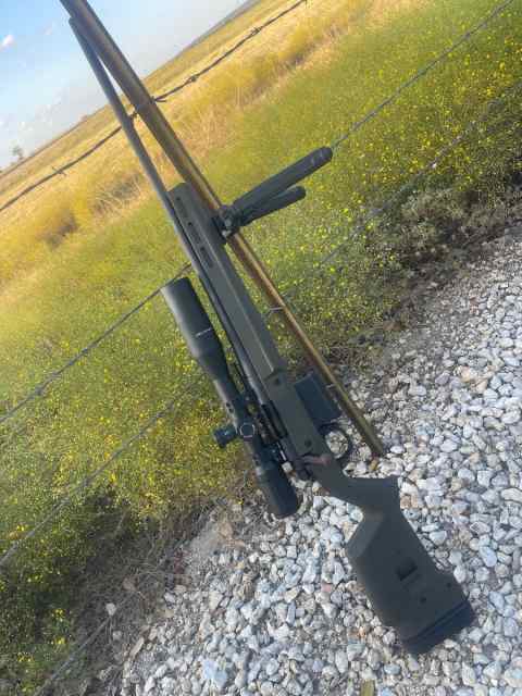 Remington 700 in .308