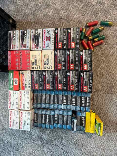 12ga Ammo 300+ Shells with Ammo Cans