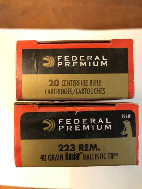 .223 Remington 40 rounds