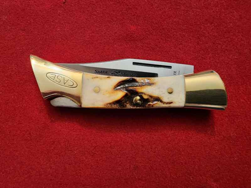 Case XX Shark Tooth 5197 L SSP 