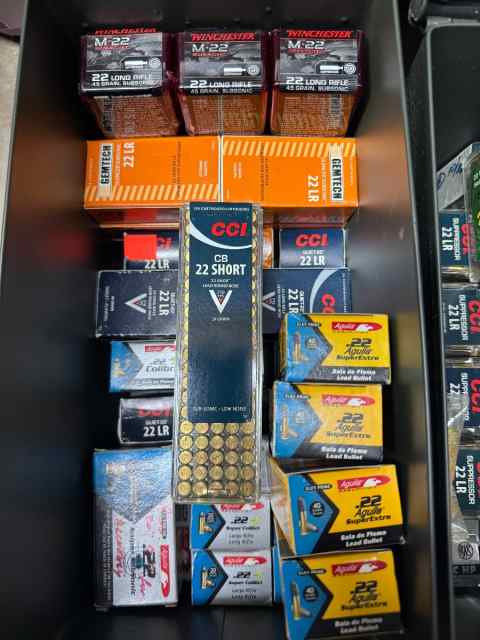 .22 LR Subsonic LRN, 2200 rnd, various brands