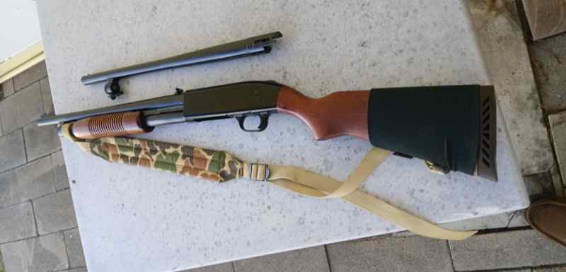 MOSSBERG A.jpg