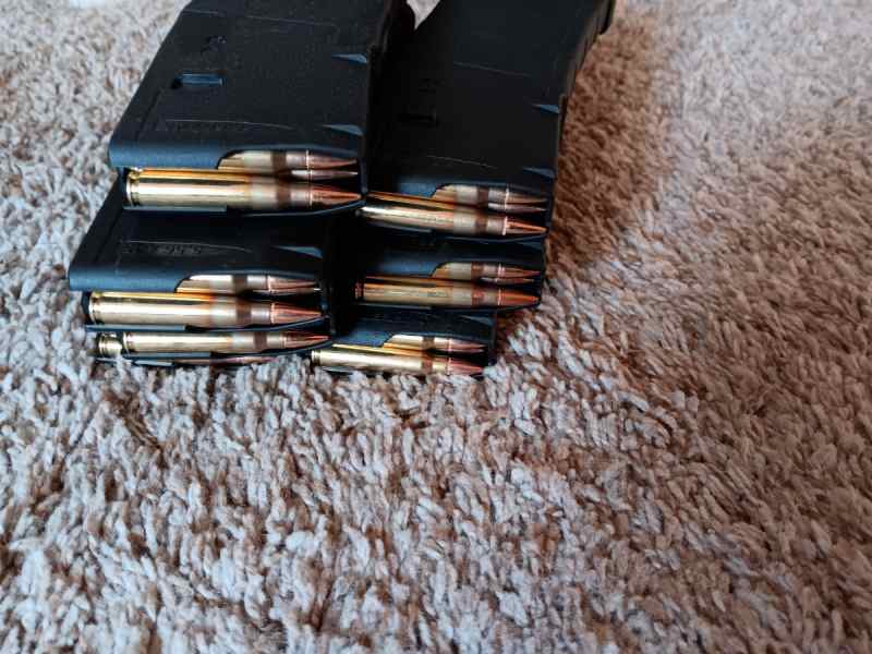 Fully loaded 30rd pmags 