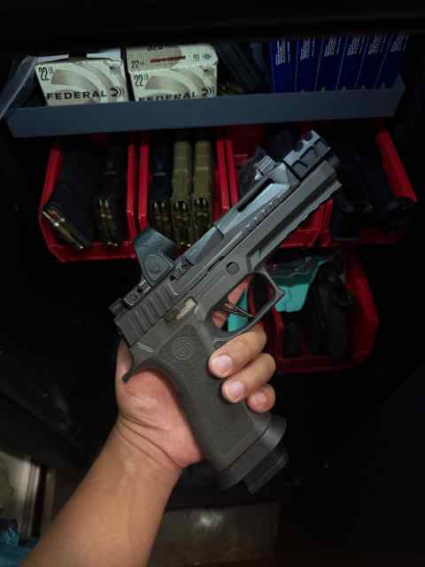 x5 legion PMM build