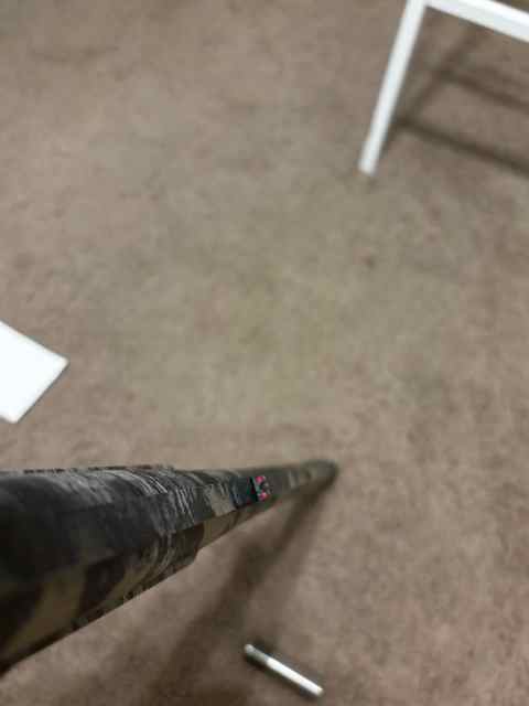 IMG_0244.jpeg