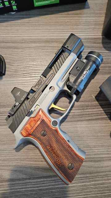 Custom Sig p320 AXG