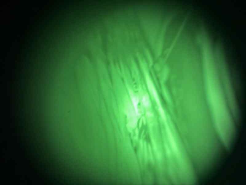 IMG_3488.jpeg