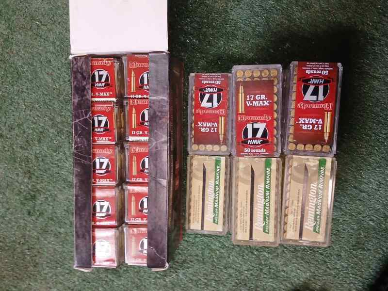 17 hmr ammo 2000rnds Hornady 