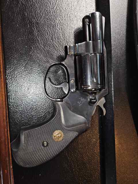 Colt detective special