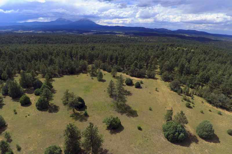 Colorado Rile Hunting Seasons lease: 2025