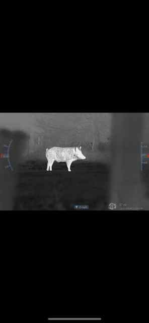5-40x Thermal 640 sensor 