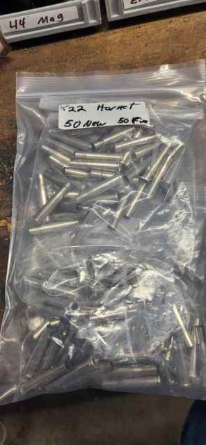 22 Hornet nickle plated brass 