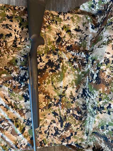 Remington 700 22-250