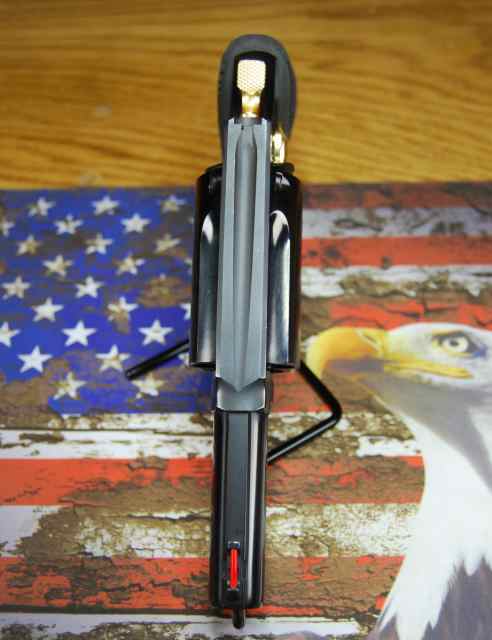 judge top.JPG