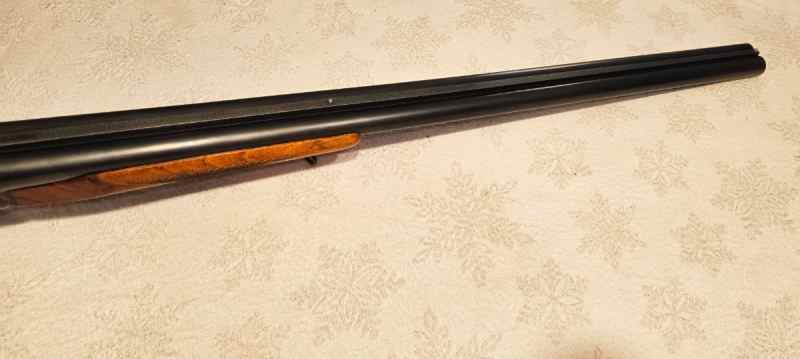 Zabala, double barrel 10 gauge shotgun. 