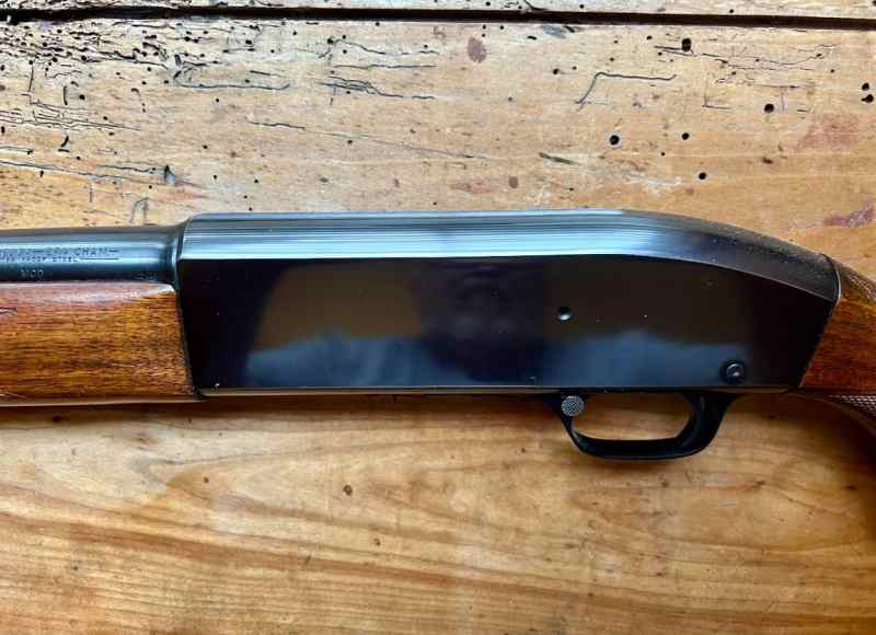 Screenshot 2026-03-04 090511.jpg