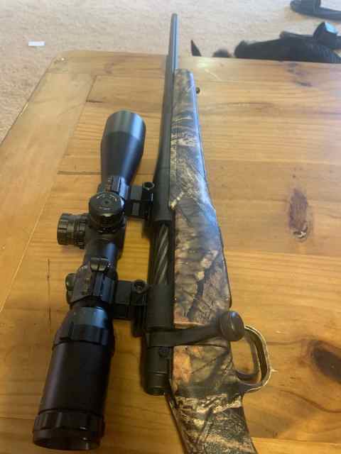 Mossberg patriot .308